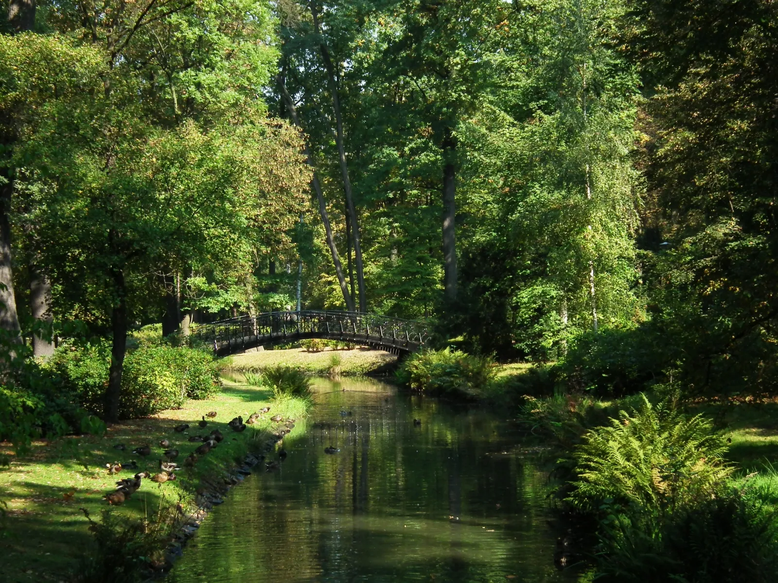 Park Szczytnicki we Wrocławiu