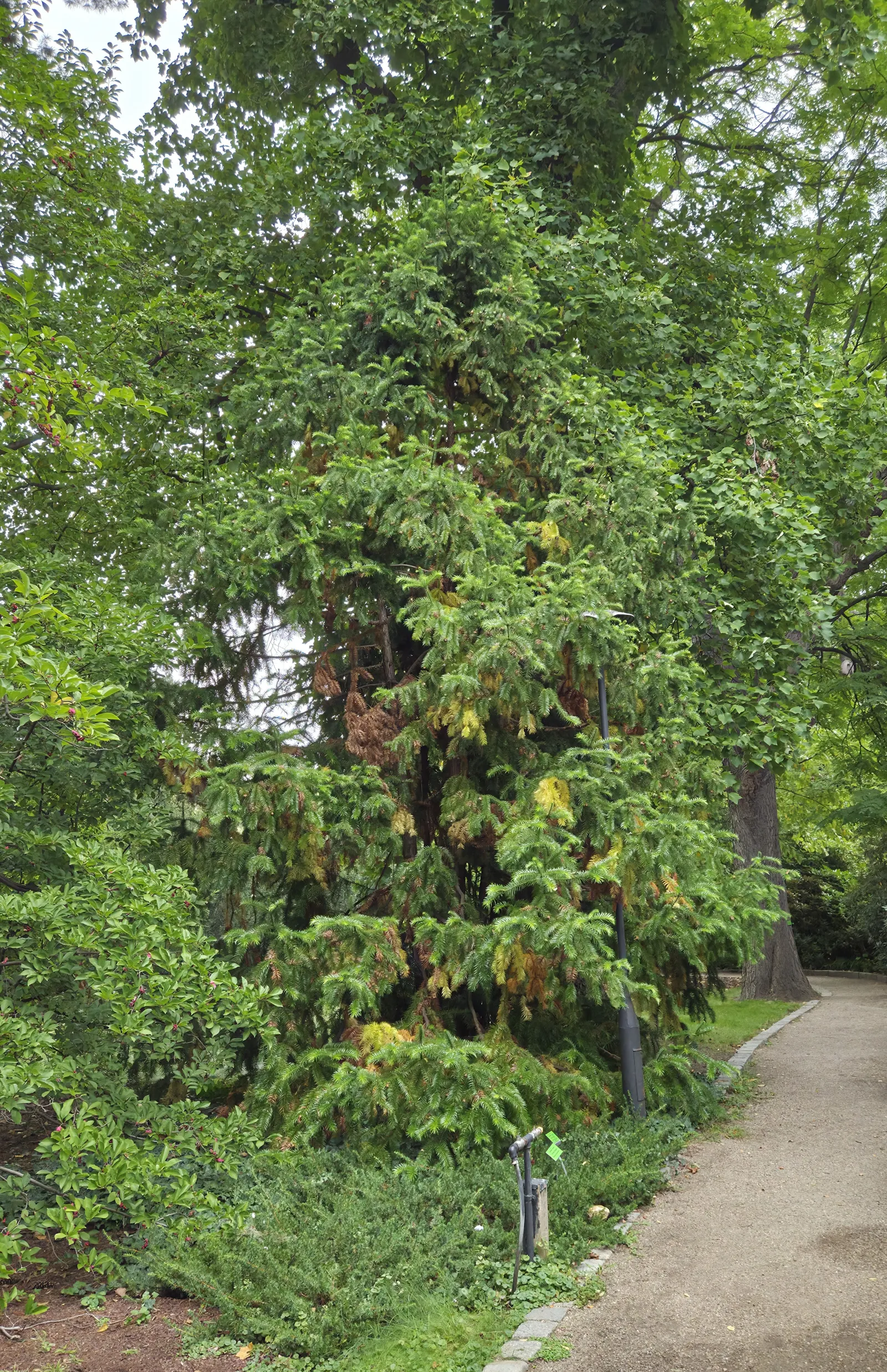 Ogród Botaniczny Uniwersytetu Wrocławskiego
