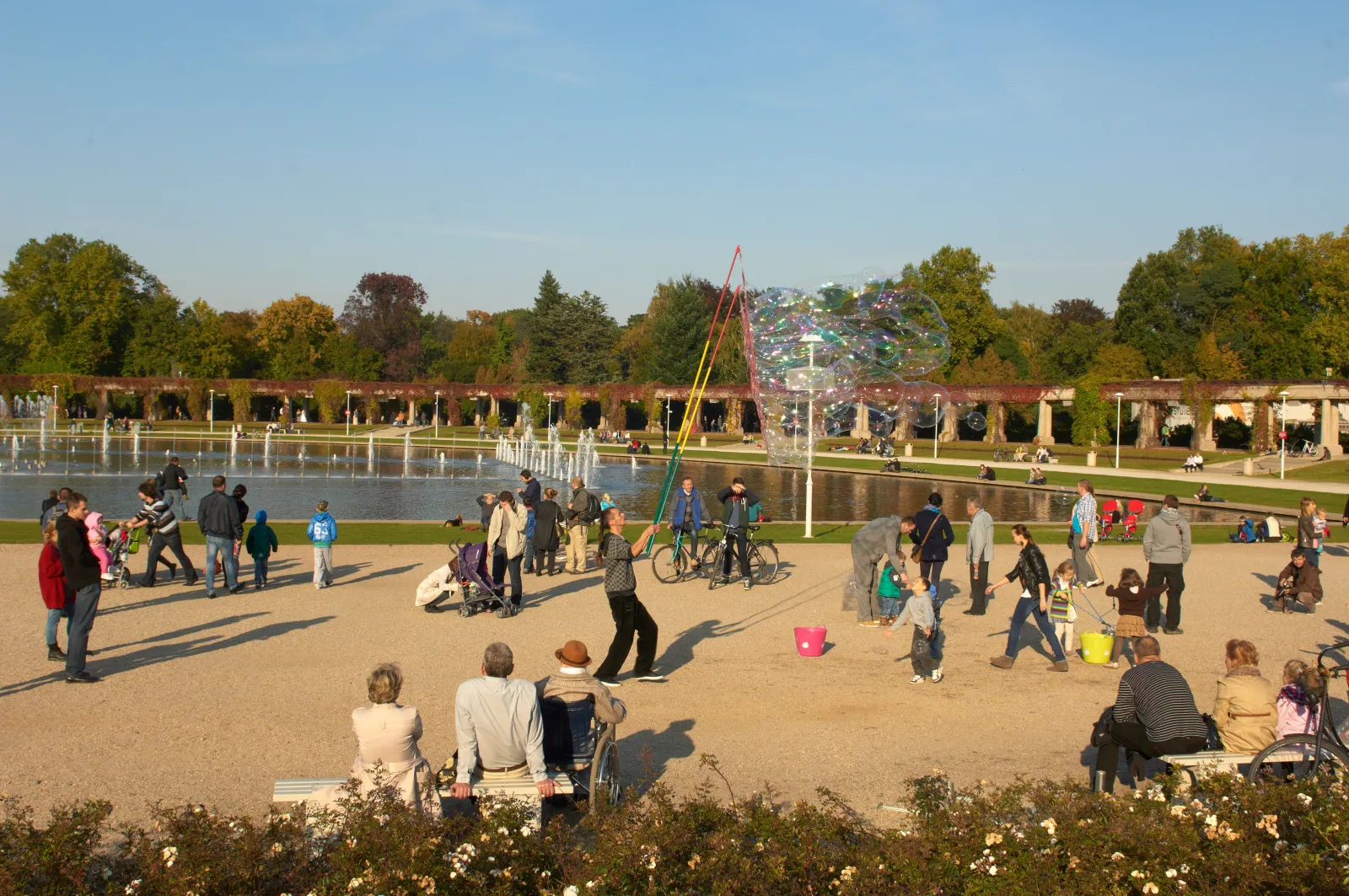 Pergola we Wrocławiu
