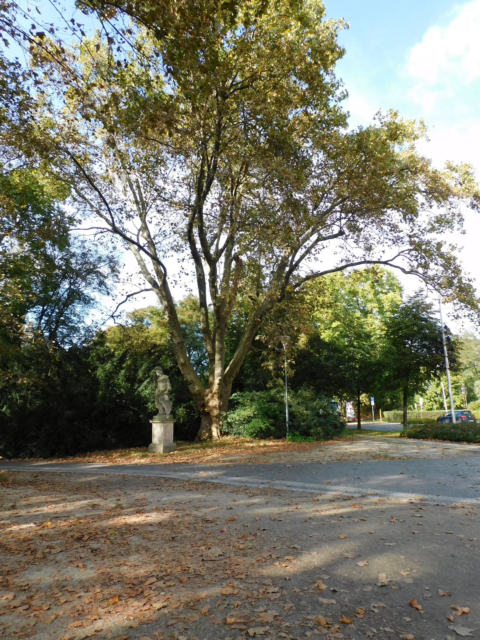 Park Juliusza Słowackiego