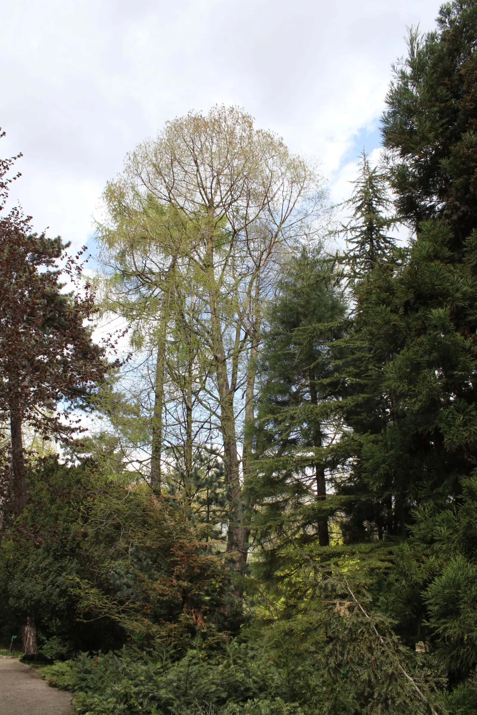 Ogród Botaniczny Uniwersytetu Wrocławskiego